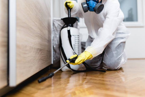 Best Emergency Pest Control  in Williamson, WV