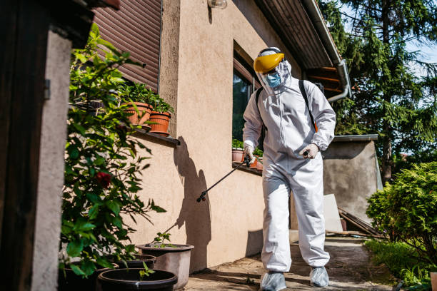 Best Affordable Pest Control Services  in Williamson, WV