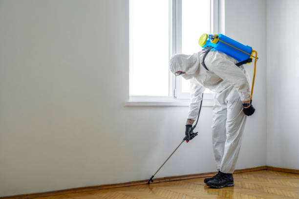 Best Exterminator Services  in Williamson, WV
