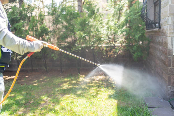 Professional Pest Control in Williamson, WV