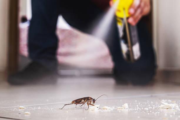 Best Commercial Pest Control Services  in Williamson, WV