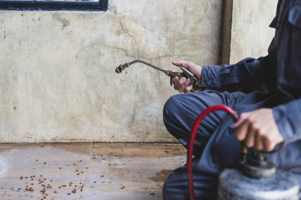 Best Best Pest Control Companies  in Williamson, WV